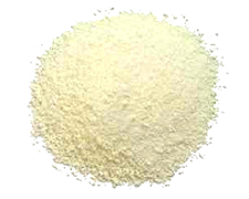 Whey Powder